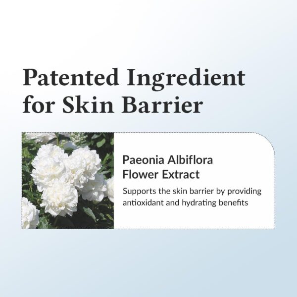 Dr.Althea 147 Barrier Cream | Daily Skin Barrier Repair Care | Deep Hydrating with Hyaluronic Acid & Ceramides | Korean Vegan Skincare for All Skin Types | 1.7 Fl Oz
